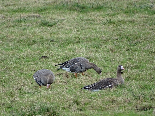 关键时刻挺 关键时刻挺