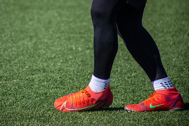 在女子摔跤 在女子摔跤