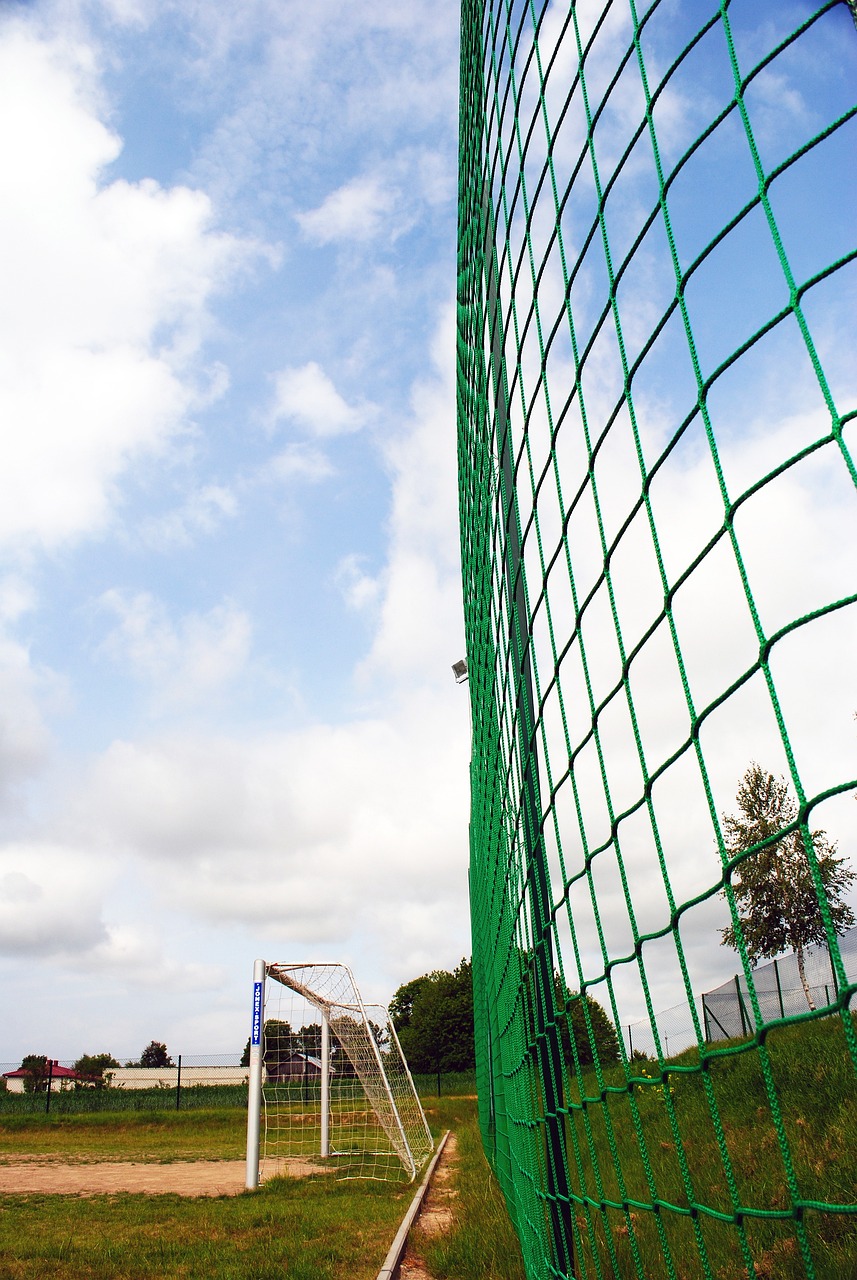 之所以能在 之所以能在