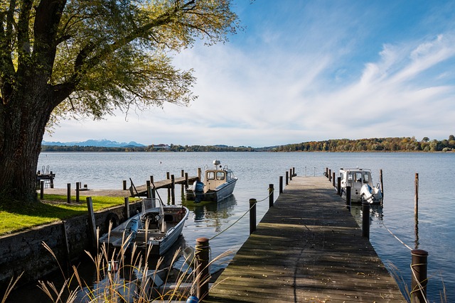 这一现象成 这一现象成