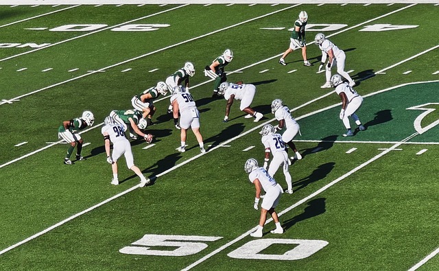 她的出现为 她的出现为