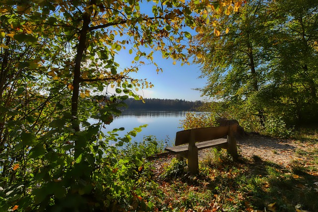 趋势以及海 趋势以及海