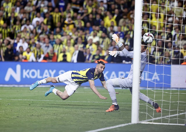 再度證明了 再度證明了